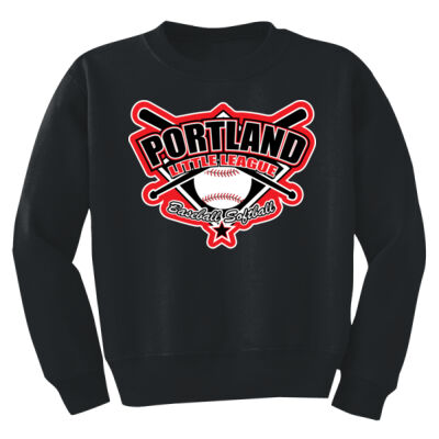 Youth Crew Neck Sweatshirt Thumbnail