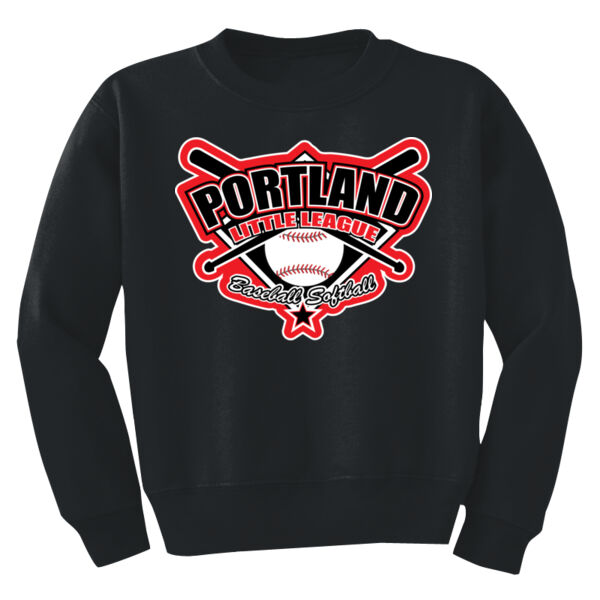 Youth Crew Neck Sweatshirt Thumbnail