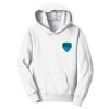 Youth Fan Favorite Fleece Pullover Hooded Sweatshirt Thumbnail